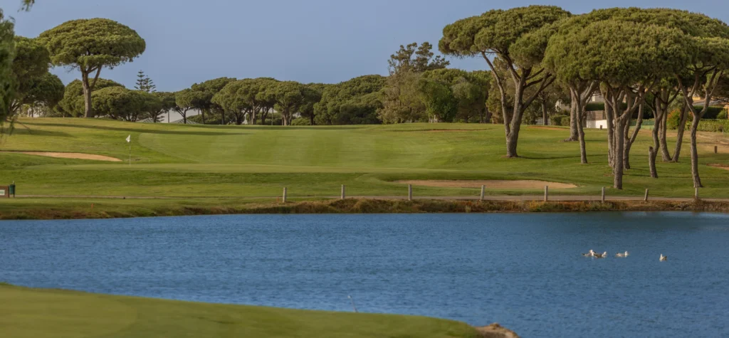 Hola In Company - Expertos en marketing en golf