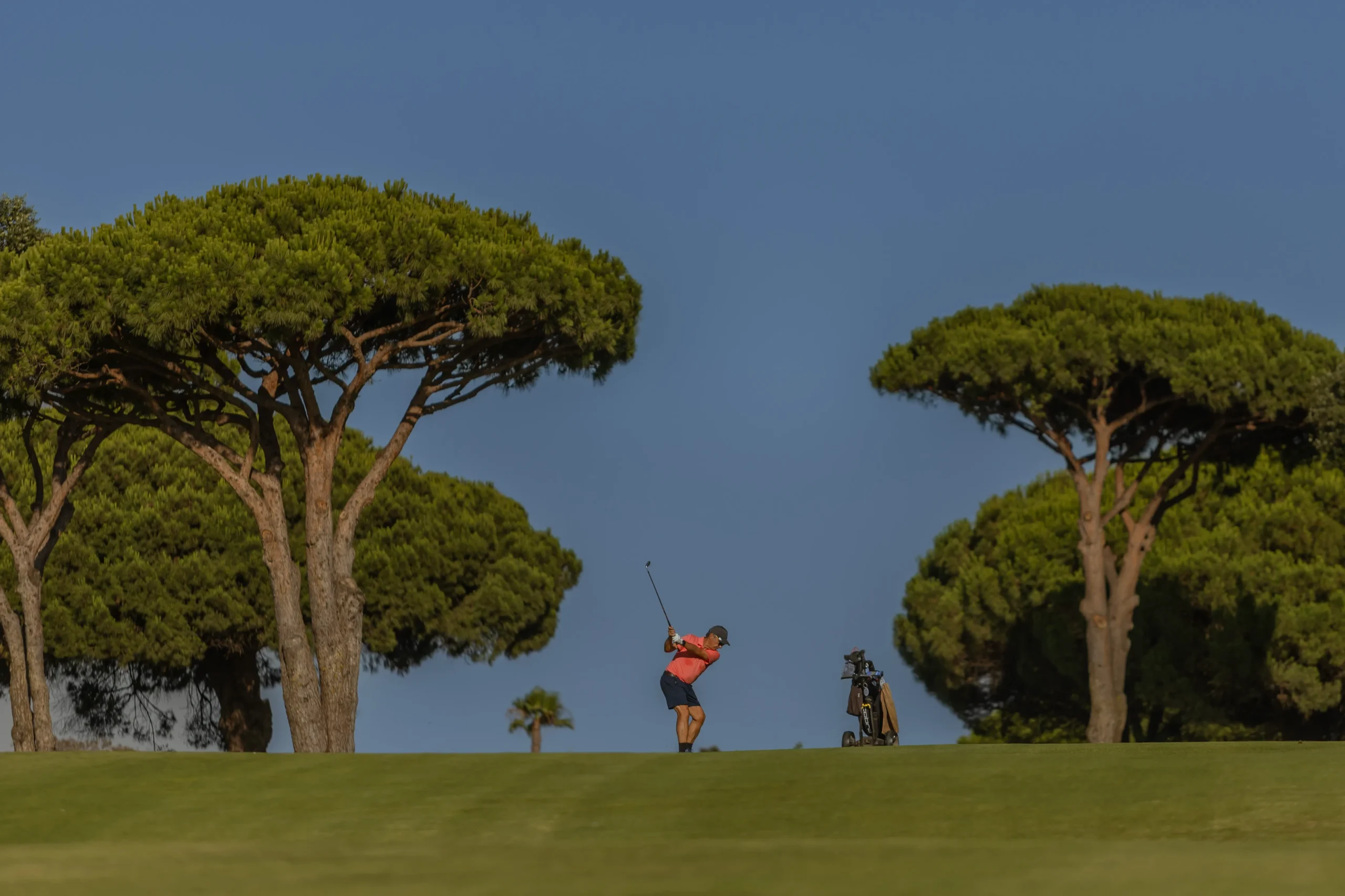 Descubre el plan de marketing y comunicación digital para el Real Novo Sancti Petri. Una estrategia integral de SEO, SEM y redes sociales para posicionarlo como líder. 2