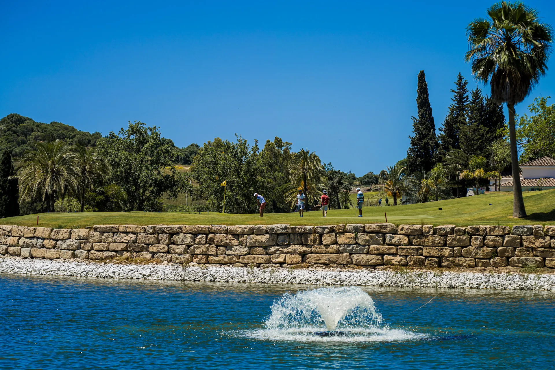 Descubre nuestro proyecto de rebranding para El Paraiso Golf Club. Una nueva identidad visual para modernizar y fortalecer la marca de este icónico campo de golf. 4