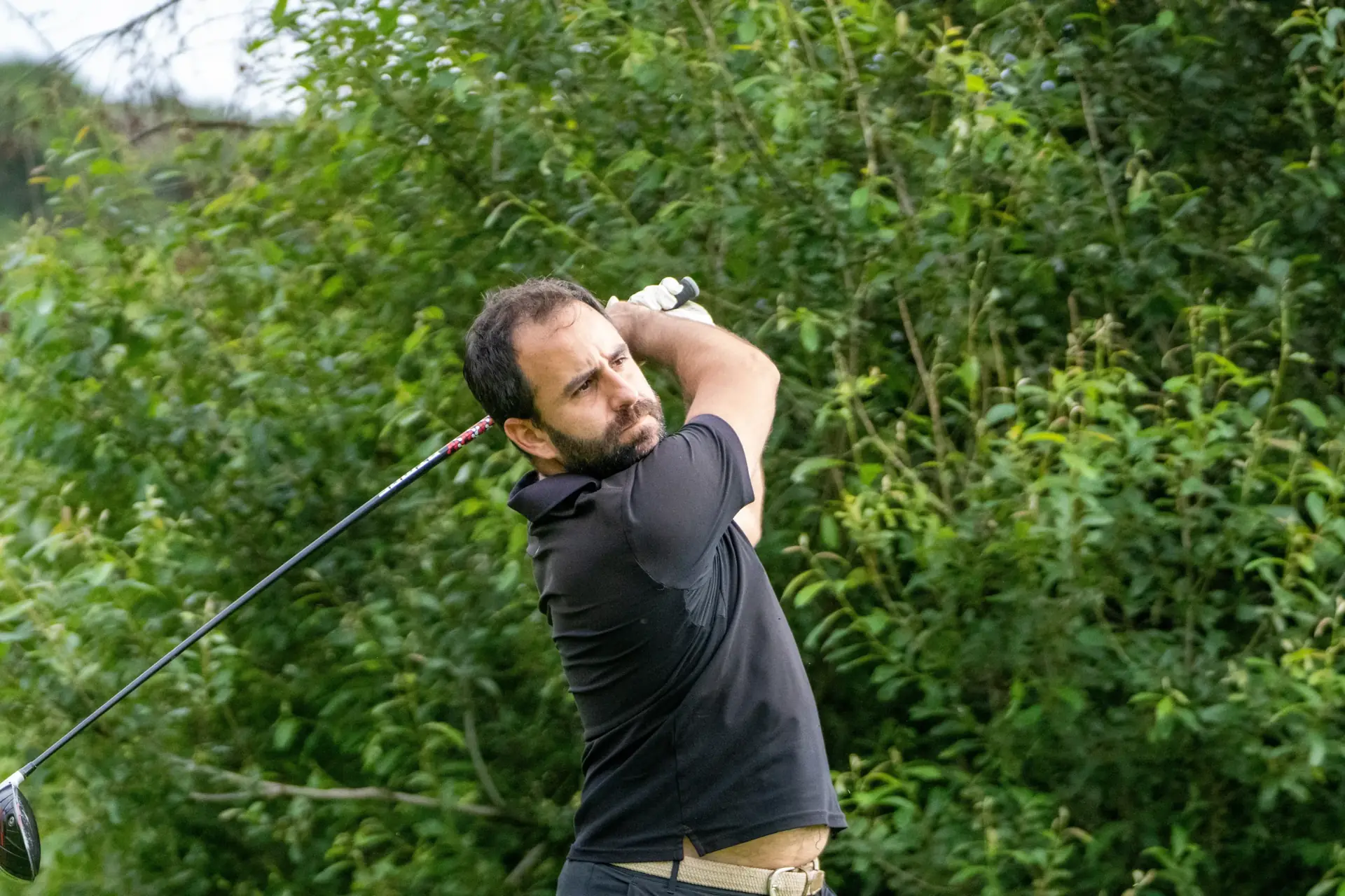 Marketing de nicho, diferencia tu campo de golf