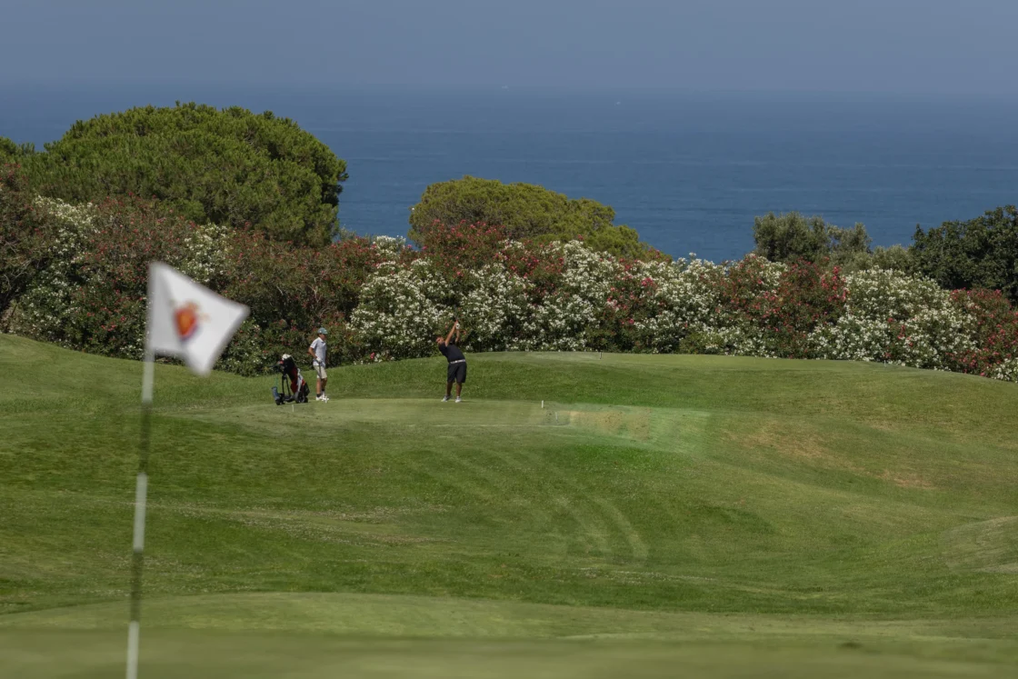 Diseño web con SEO y GEO para Real Novo Sancti Petri Golf Club
