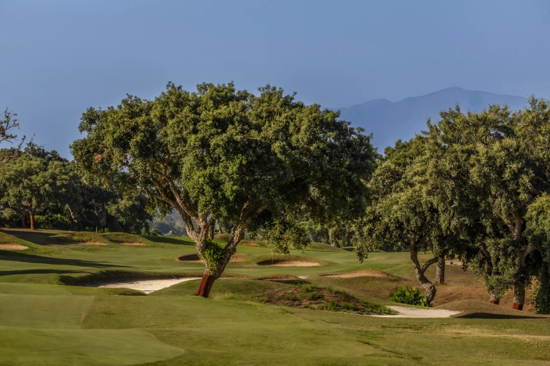 Branding e identidad visual para San Roque Golf & Resort en la Costa del Sol