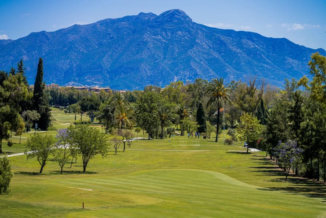 Rebranding y nueva identidad visual de El Paraíso Golf Club